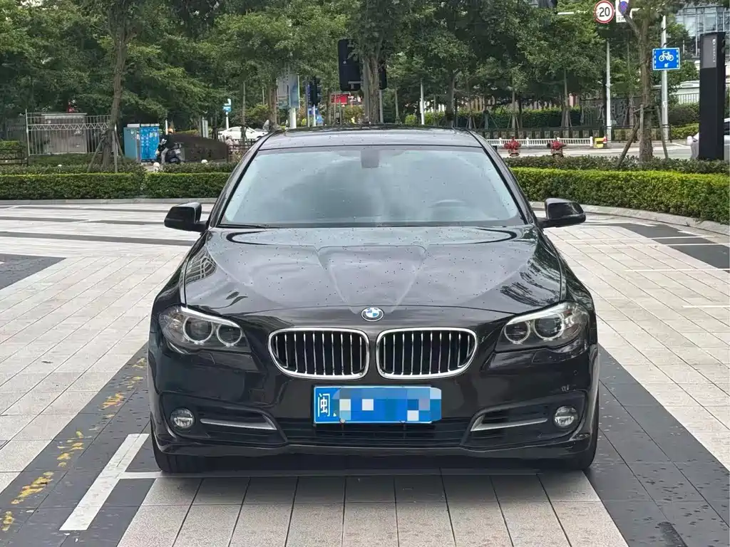 BMW 5 Series 2014 520Li Elegant купить на сайте DeffCars