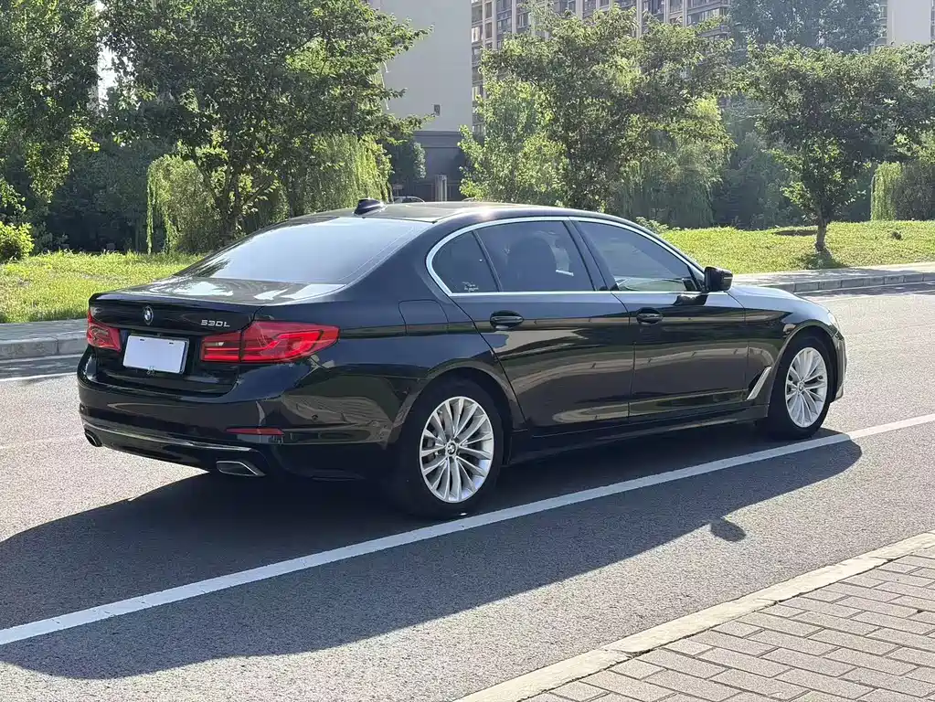 BMW 5 Series 2020 530Li Exclusive Luxury Package купить на сайте DeffCars