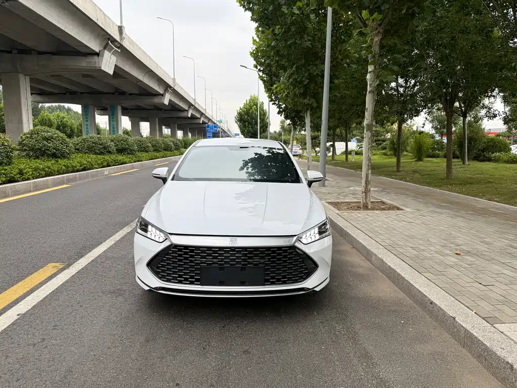 Qin PLUS 2023 Champion Edition DM-i 55KM Leading Model купить на сайте DeffCars