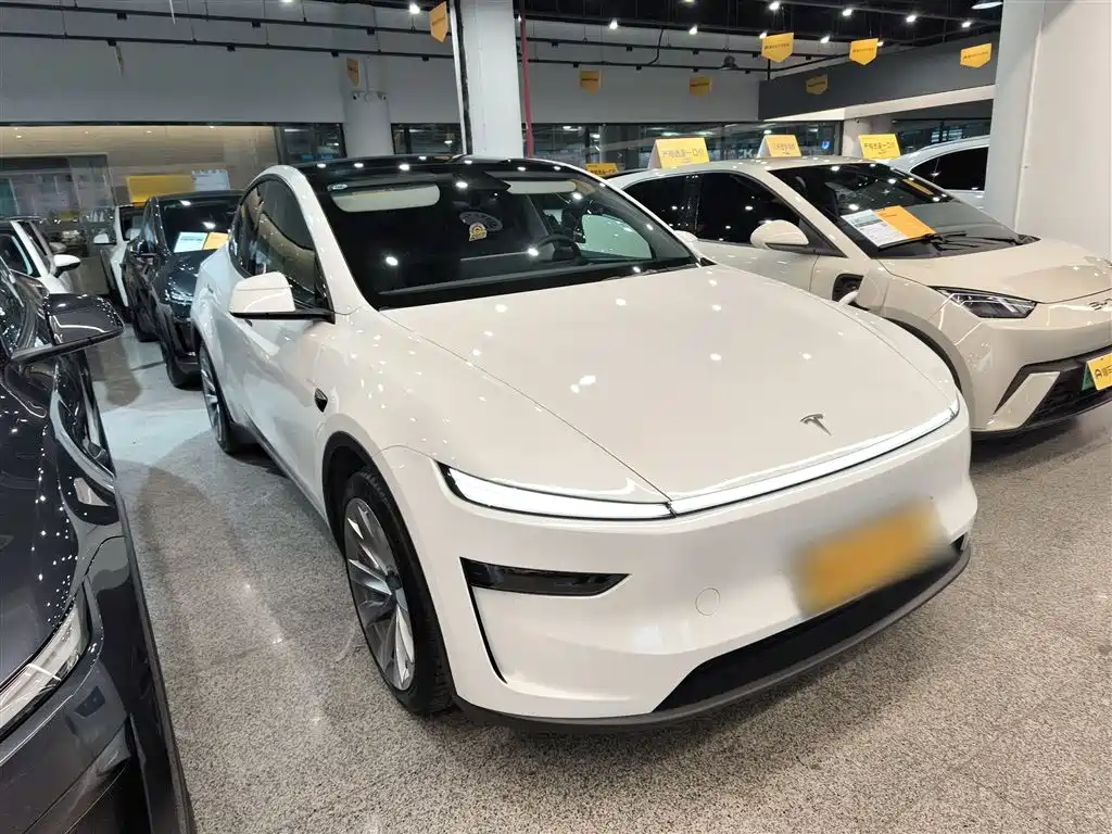 Model Y 2025 rear-wheel drive version купить на сайте DeffCars