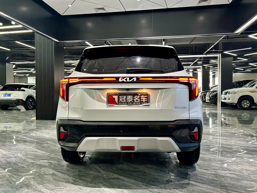 Sethus 2023 1.5L CVT Deluxe Edition купить на сайте DeffCars