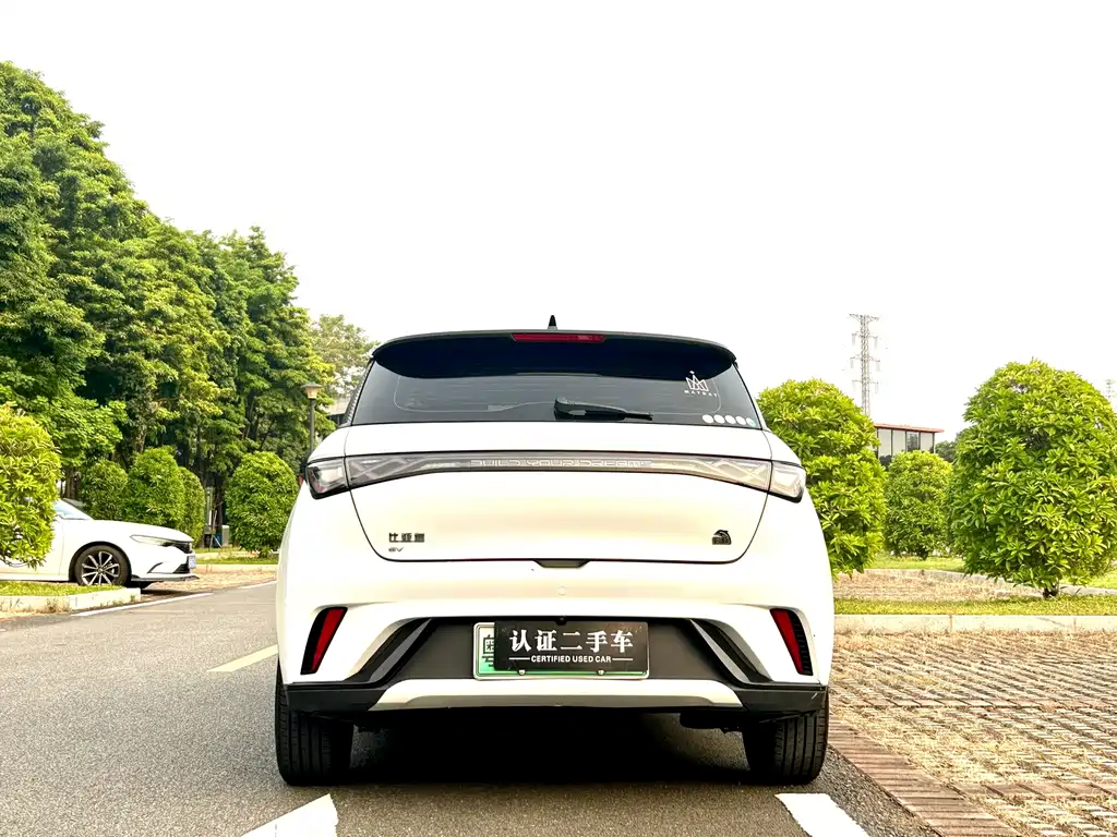 Dolphin 2023 420km Fashion Edition купить на сайте DeffCars