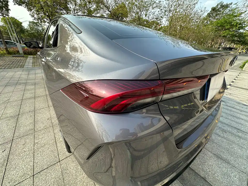 Shadow Leopard 2023 270T DCT J16 version купить на сайте DeffCars