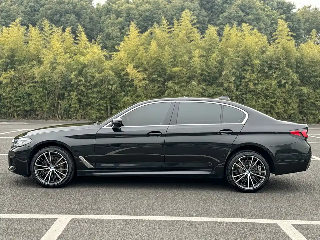 BMW 5 Series 2021 530Li xDrive M Sports Package купить на сайте DeffCars