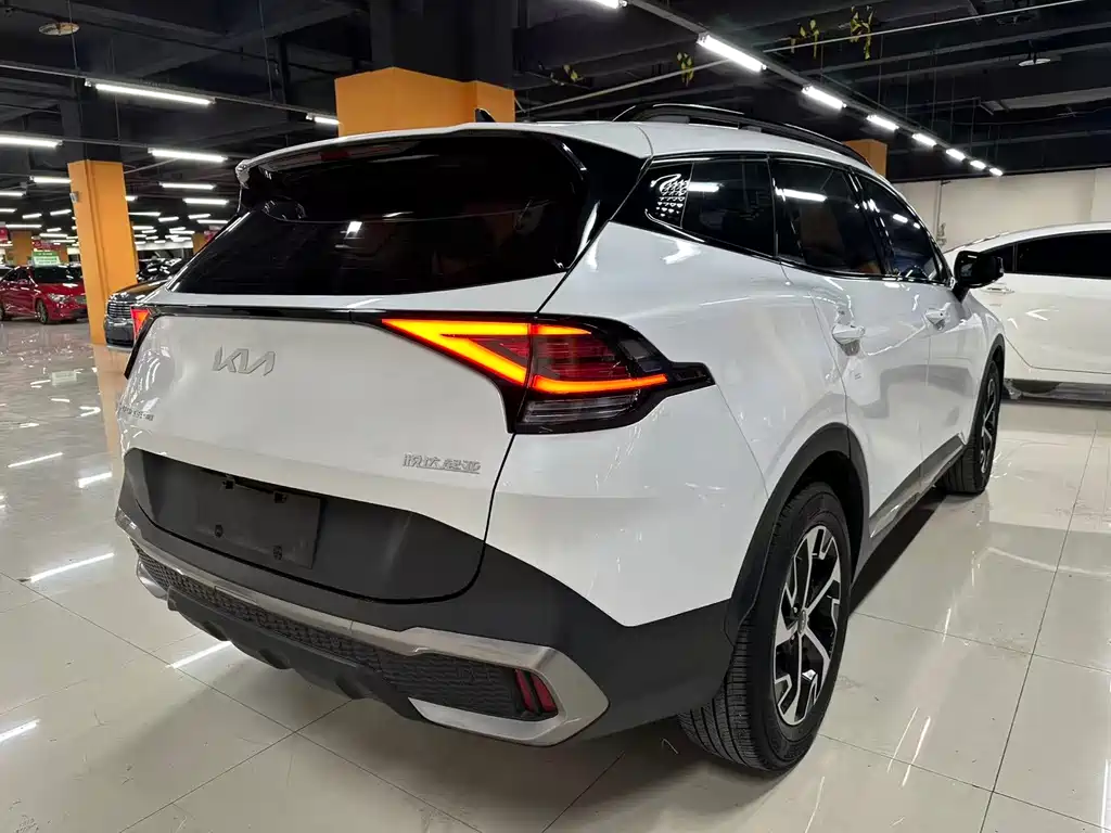 Lion Expands the Boundary 2023 2.0L HEV Two-wheel Drive Premium Edition купить на сайте DeffCars