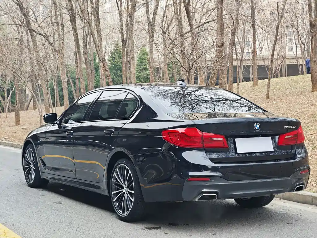 BMW 5 Series 2019 facelift 530Li leading M sports package купить на сайте DeffCars