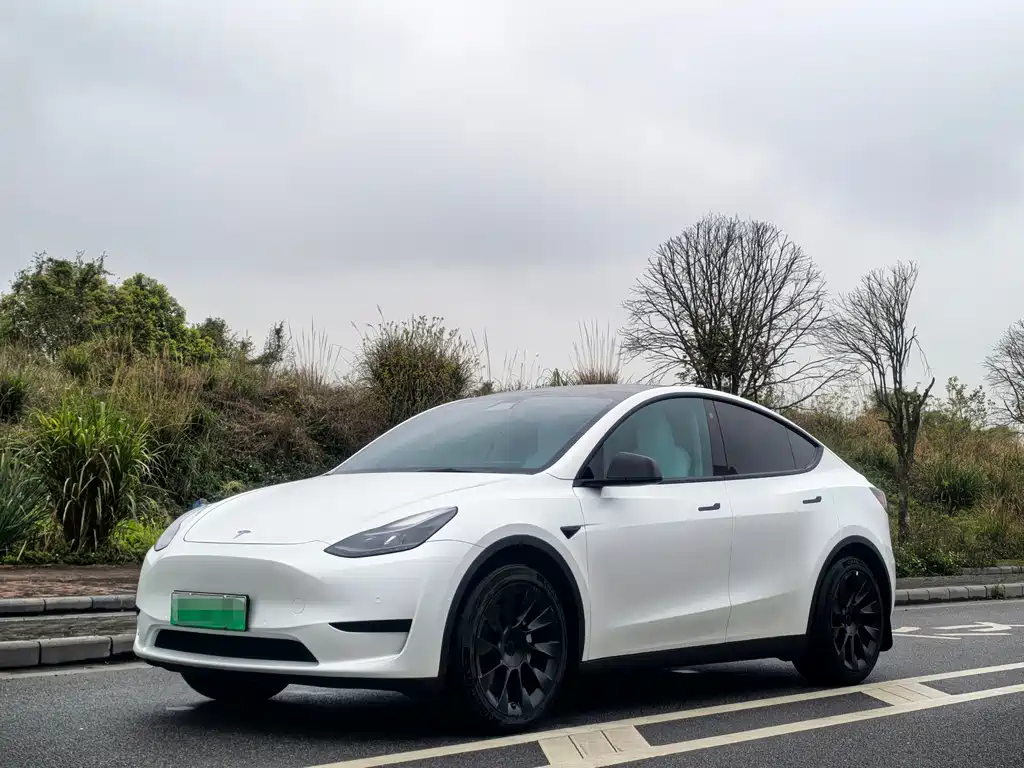 Model Y 2022 facelift rear-wheel drive version купить на сайте DeffCars
