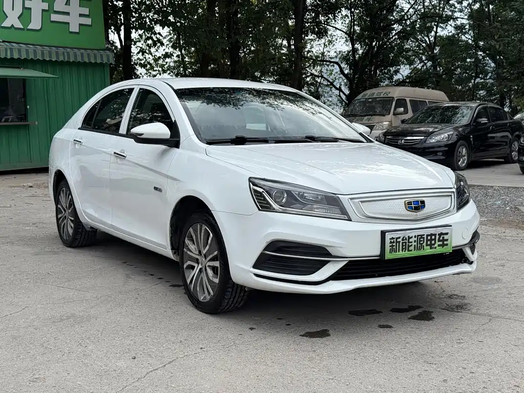 Emgrand New Energy 2018 EV450 Enterprising купить на сайте DeffCars