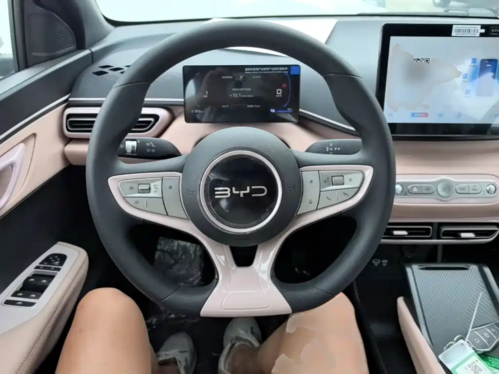 Seagull 2025 Smart Driving Edition 305km Dynamic купить на сайте DeffCars