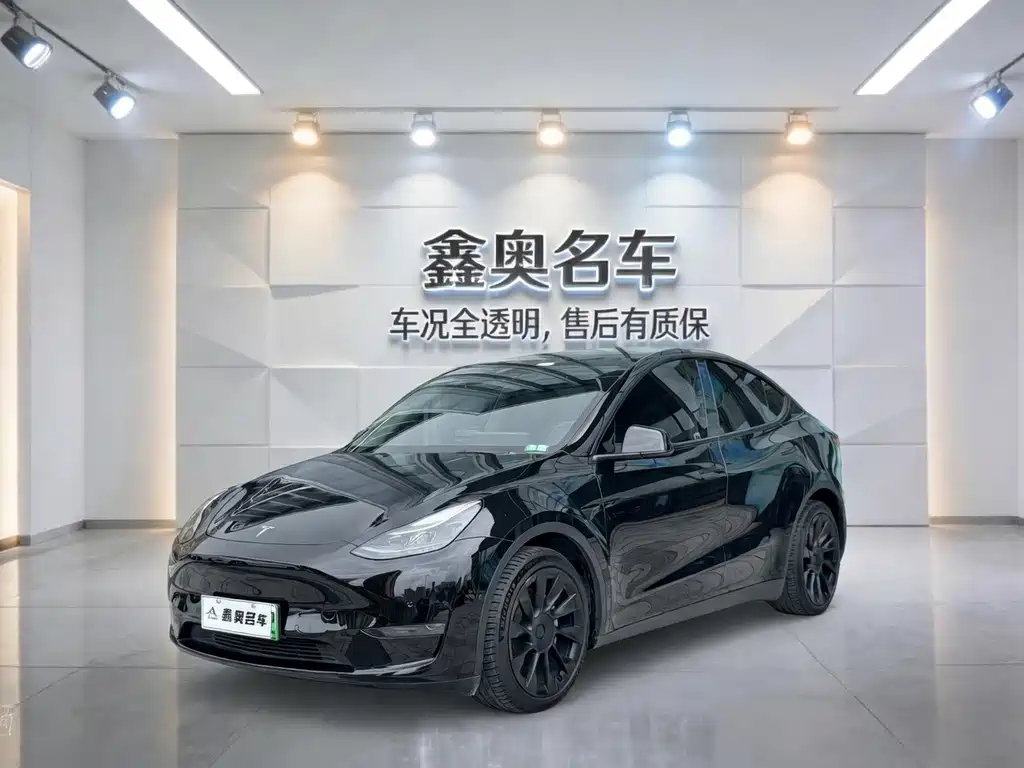 Model Y 2021 Standard Range Rear Drive Edition купить на сайте DeffCars