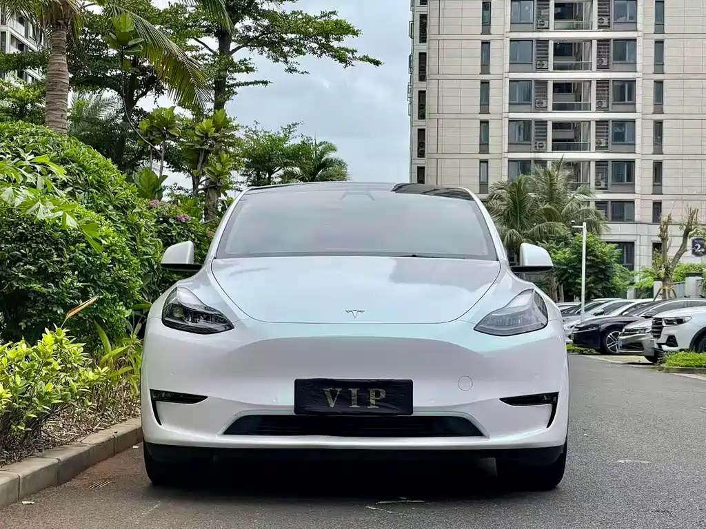Model Y 2021 standard range rear-wheel drive version купить на сайте DeffCars