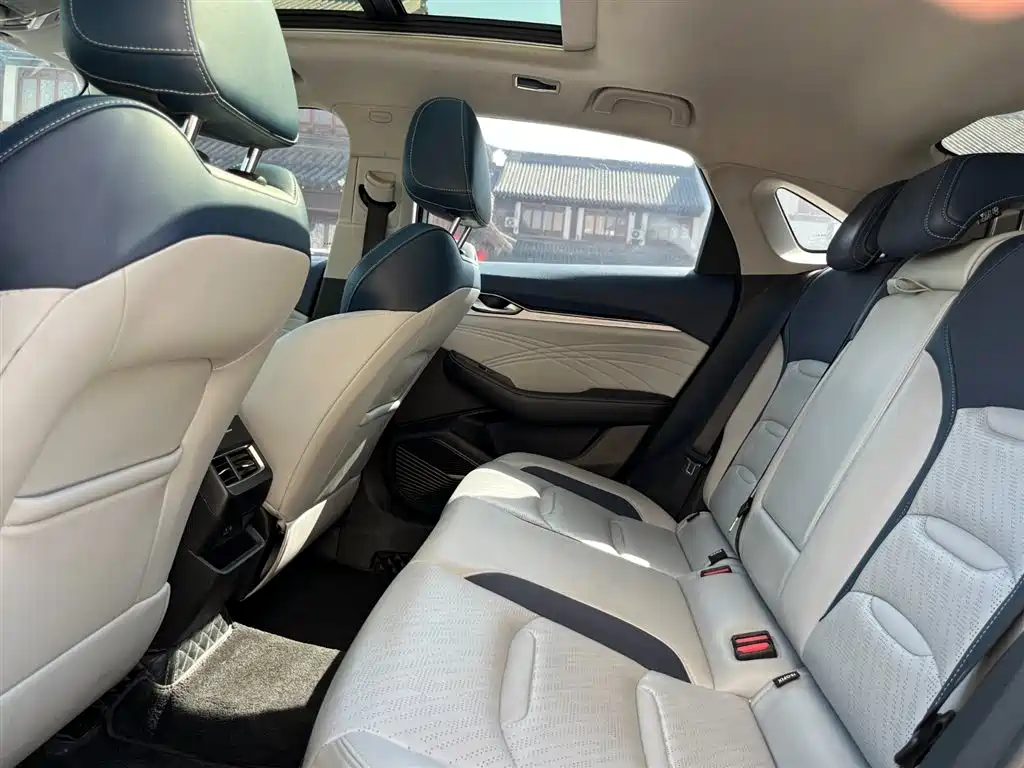 Xingrui 2021 2.0TD luxury model купить на сайте DeffCars