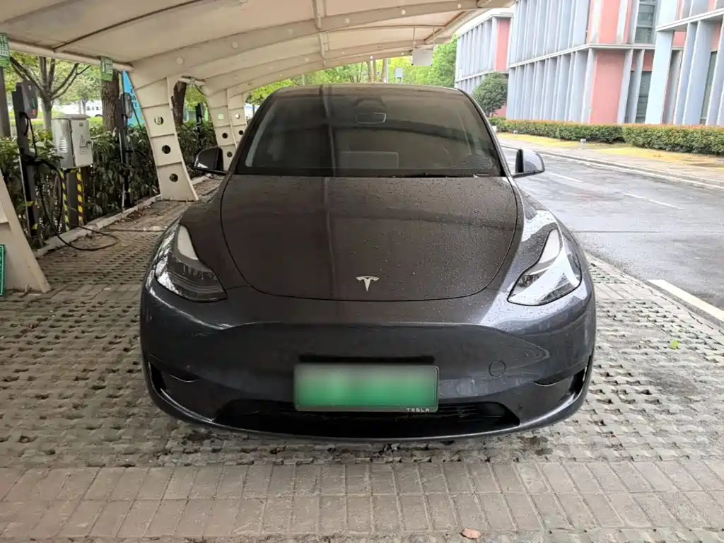 Model Y 2024 rear-wheel drive version купить на сайте DeffCars
