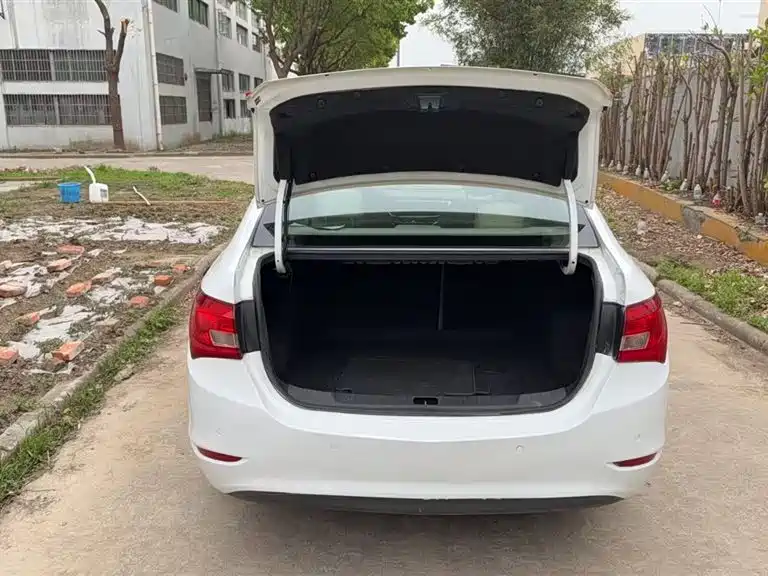 Yinglang 2015 15N automatic elite type купить на сайте DeffCars