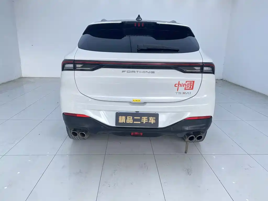 Fengxing T5 EVO 2021 1.5TD DCT Platinum Edition купить на сайте DeffCars