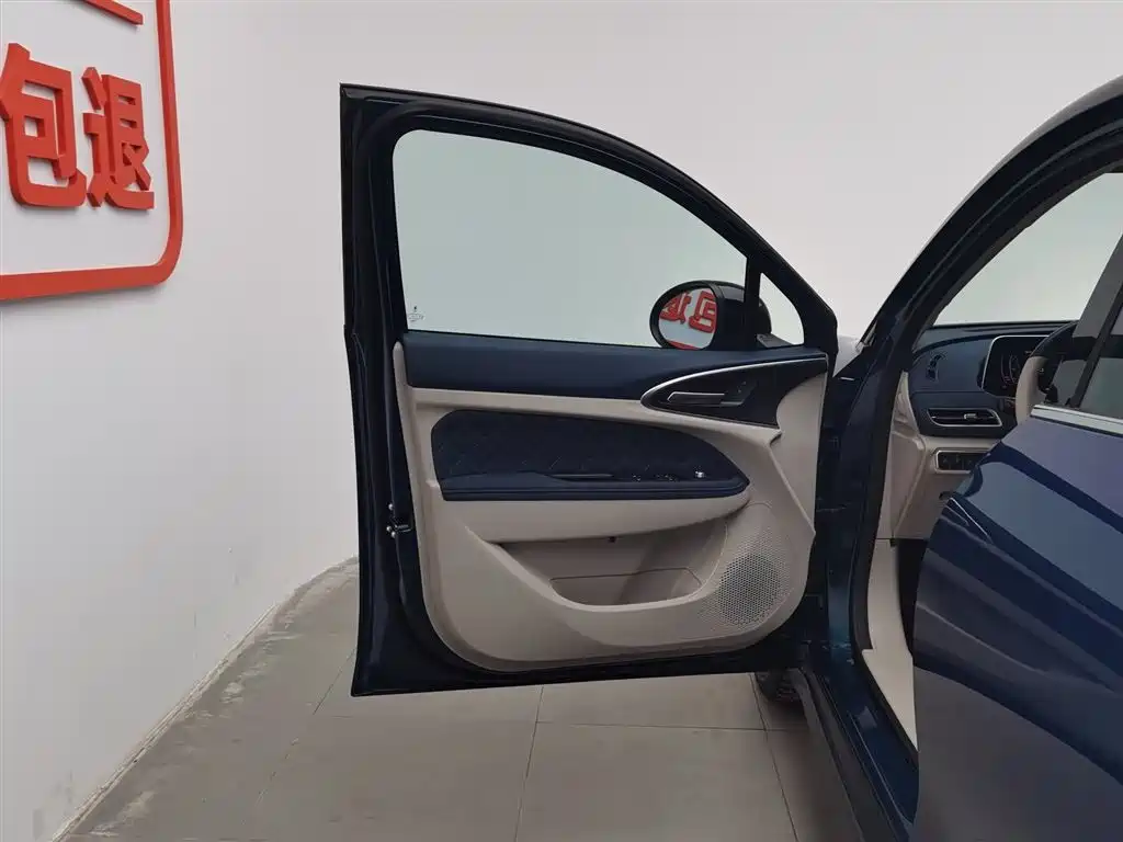 Euler Good Cat 2022 Morandi Edition 400km standard battery life luxury model ternary lithium купить на сайте DeffCars