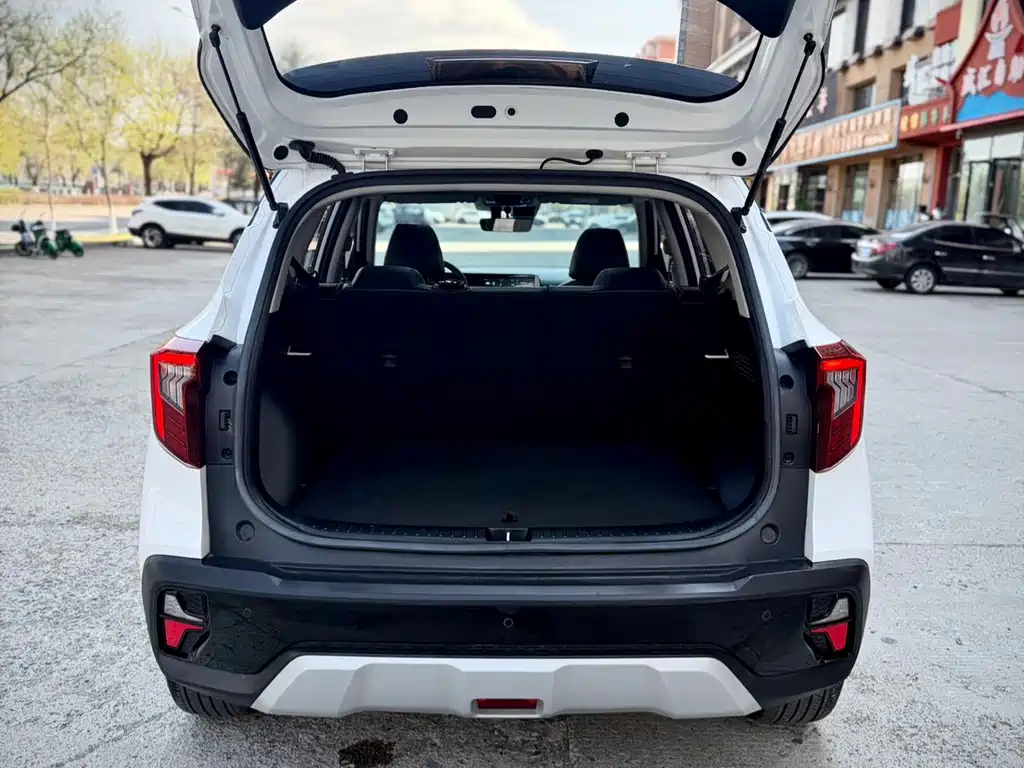 Sethus 2023 1.5L CVT Deluxe Edition купить на сайте DeffCars