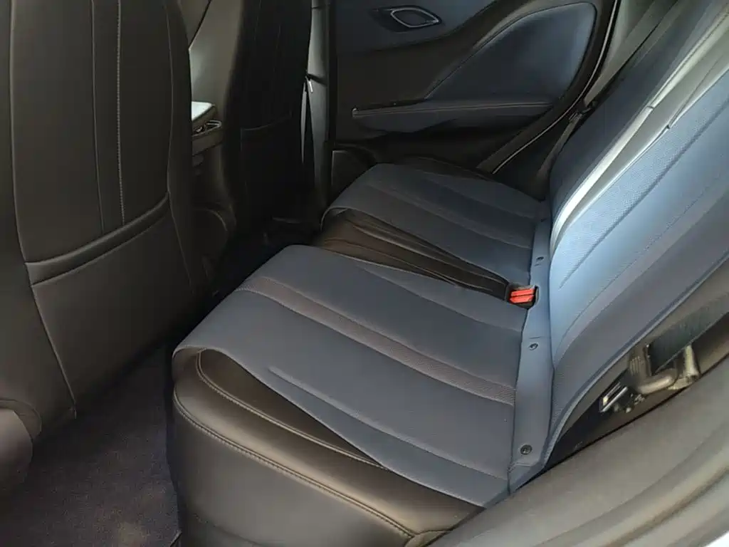 Seagull 2024 Honor Edition 305km Free Edition купить на сайте DeffCars