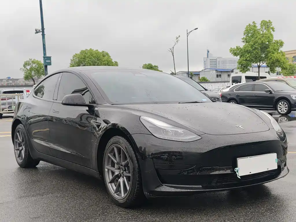 Model 3 2022 rear-wheel drive version купить на сайте DeffCars