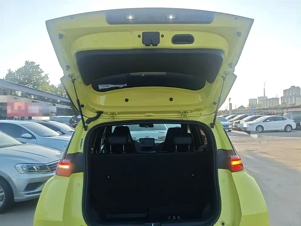 Seagull 2024 Honor Edition 305km Free Edition купить на сайте DeffCars