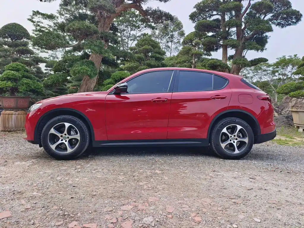 Stelvio 2017 2.0T 200HP Elite Edition купить на сайте DeffCars