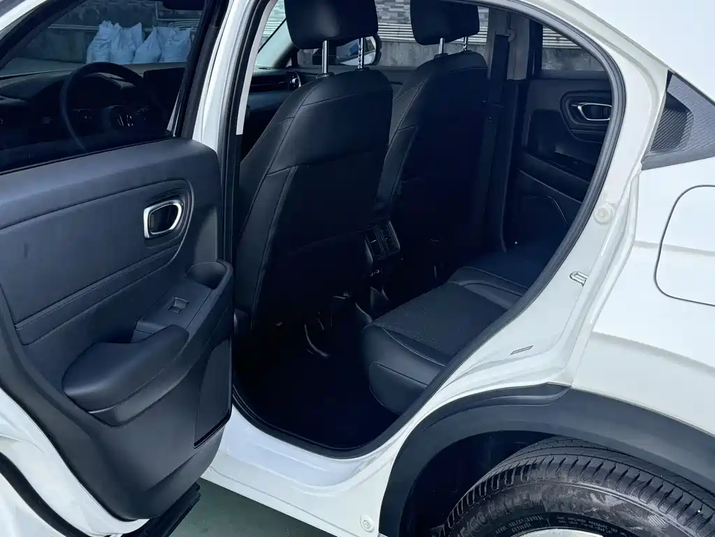 Binzhi 2023 1.5L CVT Pioneer Edition купить на сайте DeffCars