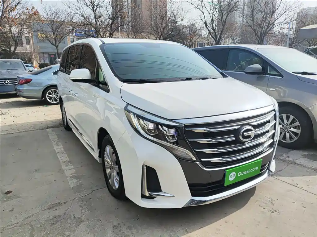 Trumpchi M8 2020 Pilot Model 390T Exclusive Edition купить на сайте DeffCars