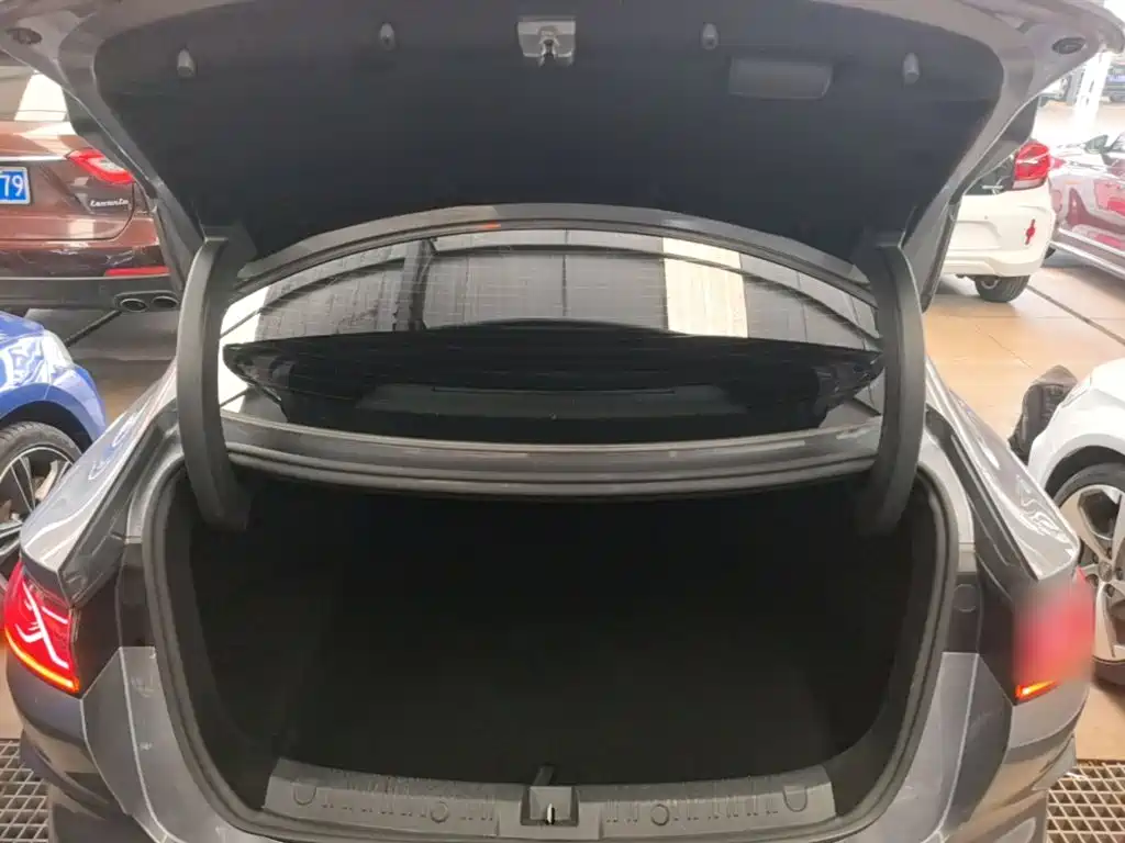 Qin L 2024 DM-i 80KM leading model купить на сайте DeffCars