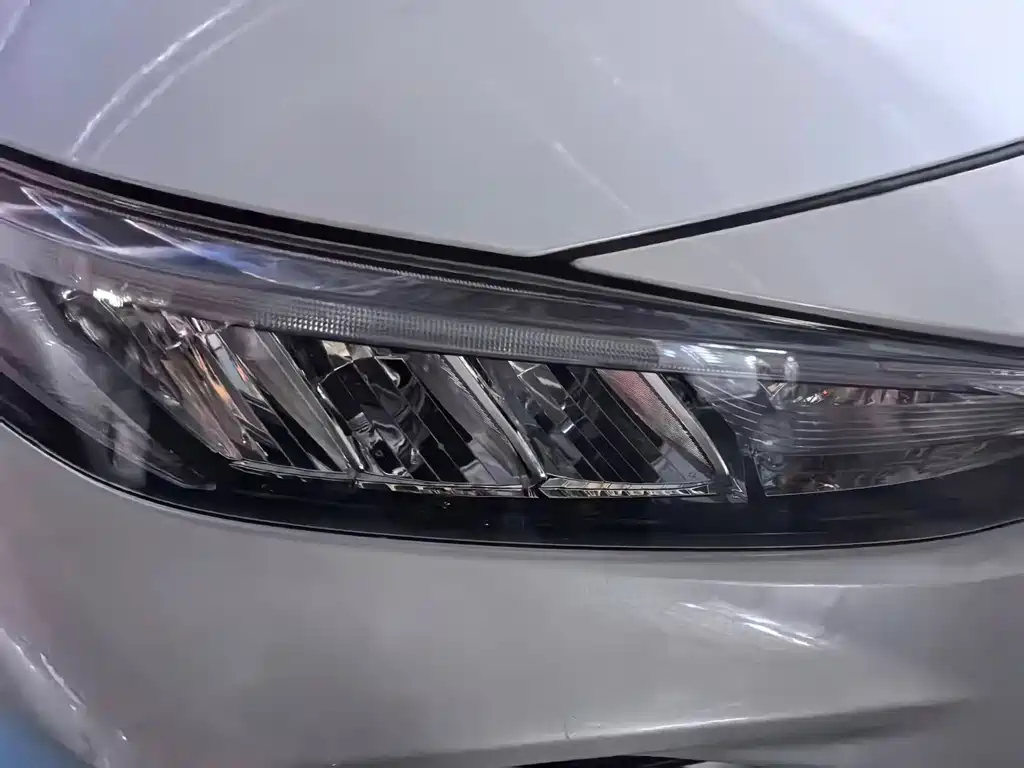 Wildlander 2020 2.0L CVT four-wheel drive luxury version купить на сайте DeffCars