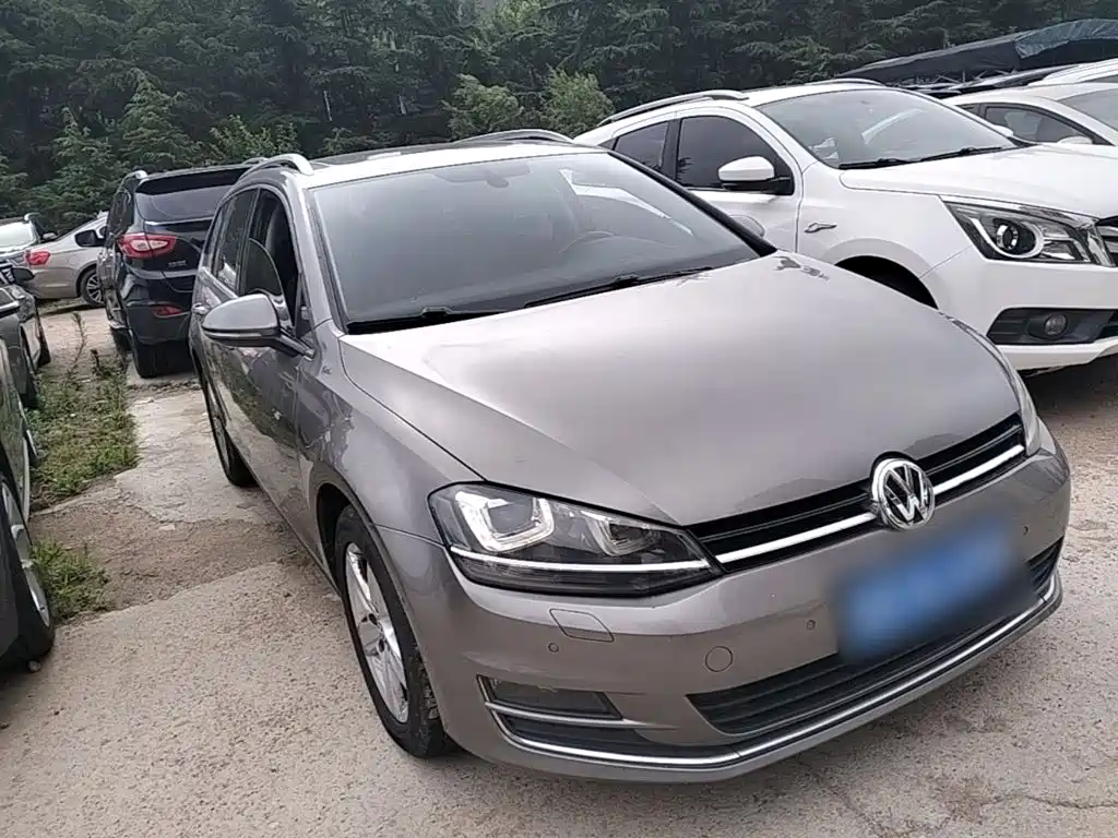 Golf imported 2014 1.4TSI luxury travel version купить на сайте DeffCars