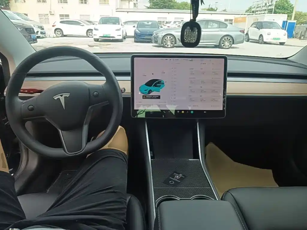 Model 3 2020 Standard Range Rear Drive Upgrade купить на сайте DeffCars