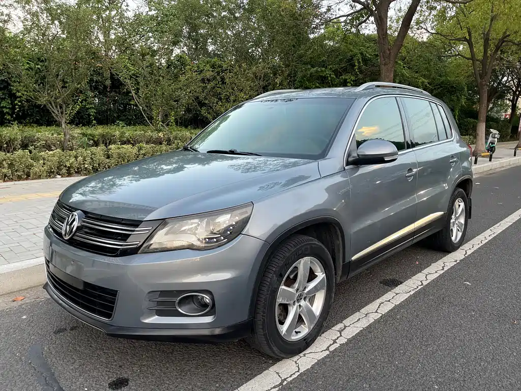 Tiguan 2010 2.0TSI automatic four-wheel drive elite version купить на сайте DeffCars