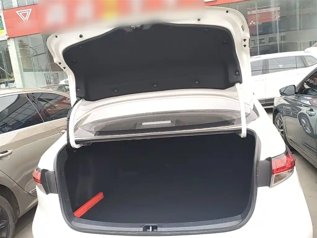 Ralink 2021 TNGA 1.5L CVT Advanced Edition купить на сайте DeffCars