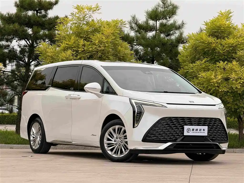 Century 2023 2.0T Six-seater Yuanshi Edition купить на сайте DeffCars