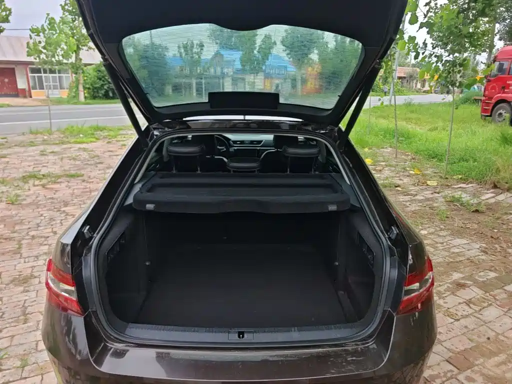 Superb 2018 TSI330 DSG Deluxe Edition China V купить на сайте DeffCars