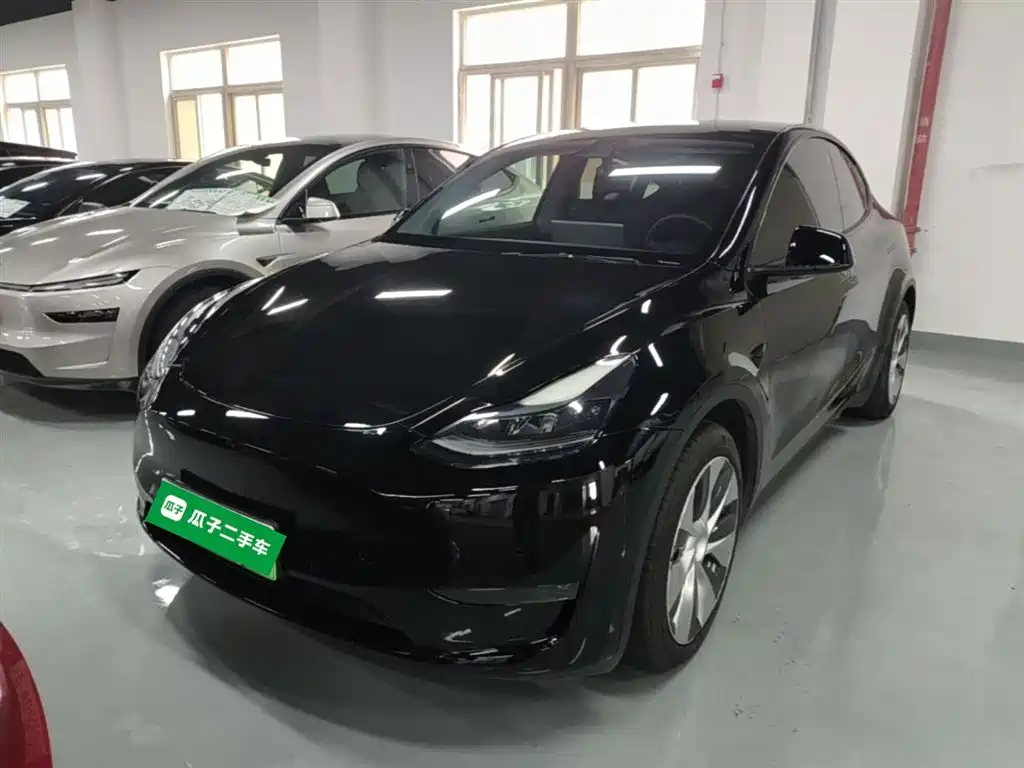 Model Y 2021 standard range rear-wheel drive version купить на сайте DeffCars