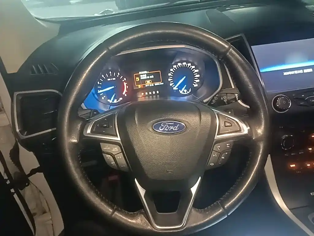 Ruijie 2018 EcoBoost 245 2WD Platinum 7-seater National V купить на сайте DeffCars