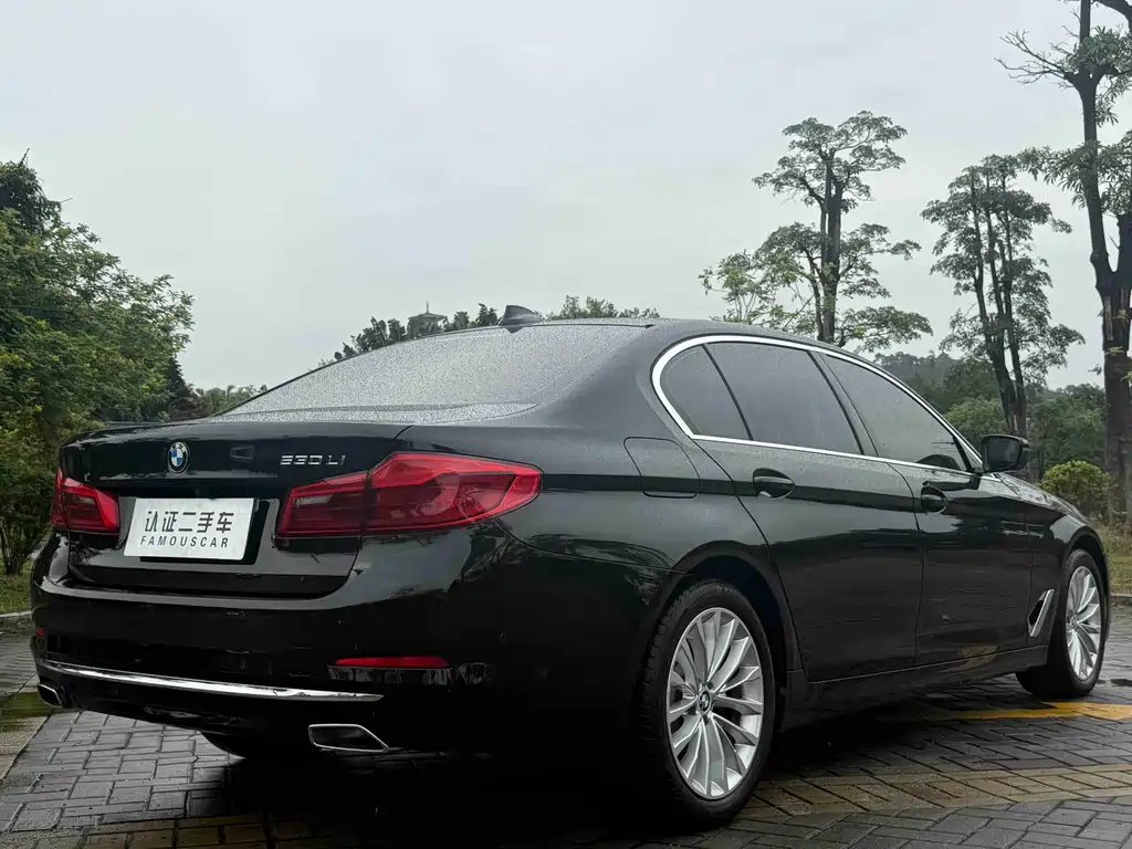 BMW 5 Series 2020 530Li Exclusive Luxury Package купить на сайте DeffCars
