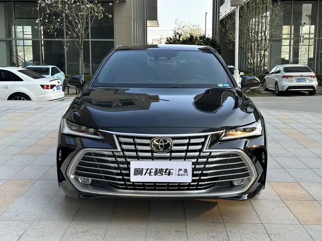 Asia Dragon 2024 Shuangqing 2.0L Deluxe Edition купить на сайте DeffCars