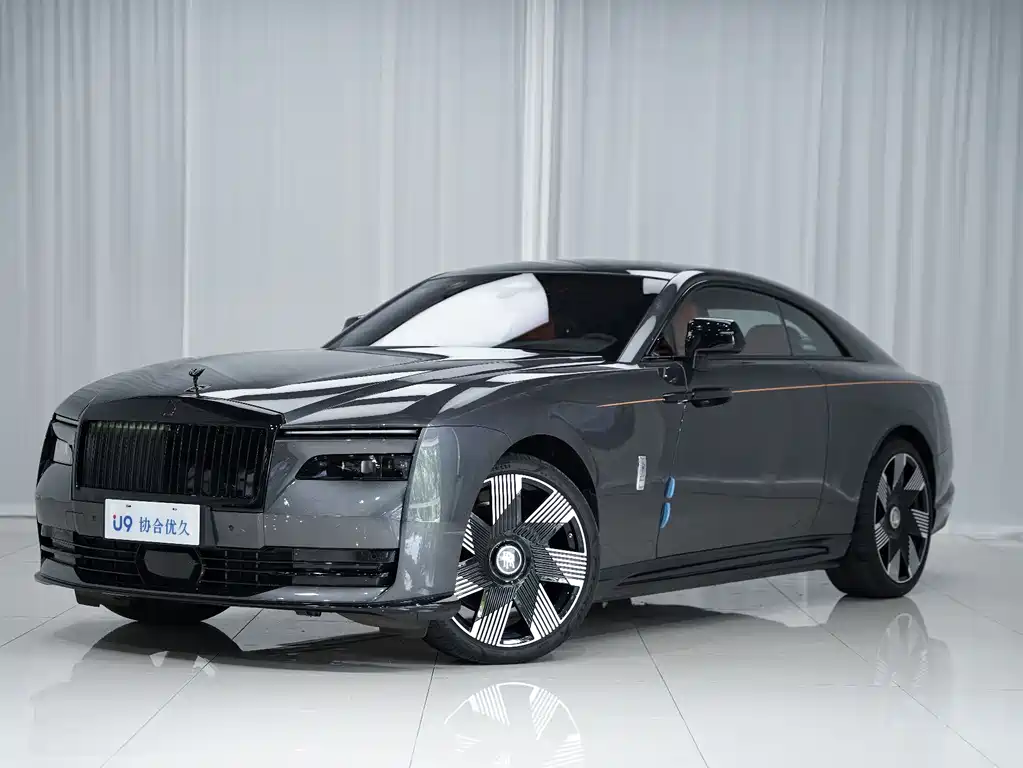 Shining 2024 Standard Type купить на сайте DeffCars