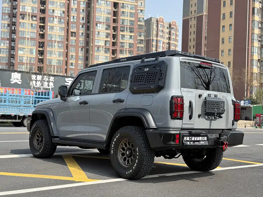 Tank 300 2025 2.0T Gasoline Conqueror купить на сайте DeffCars