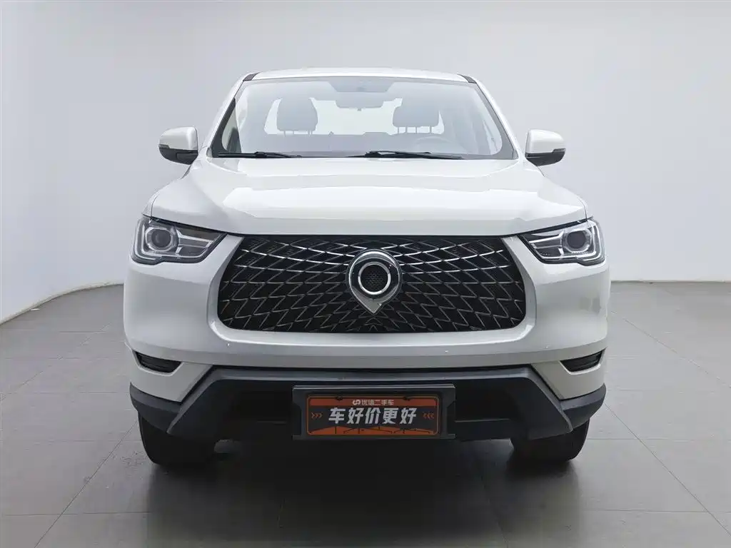 Cannon 2021 2.0T commercial version automatic diesel two-wheel drive elite long box GW4D20M купить на сайте DeffCars