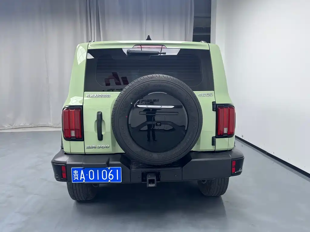 Tank 300 2024 2.0T Conqueror купить на сайте DeffCars