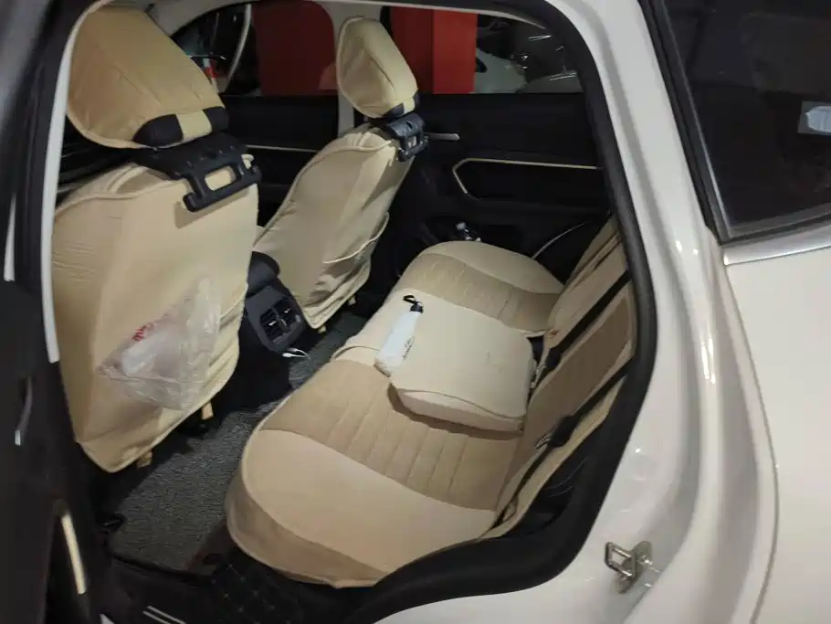 Haval H6 2019 1.5GDIT Automatic Champion Edition National VI купить на сайте DeffCars