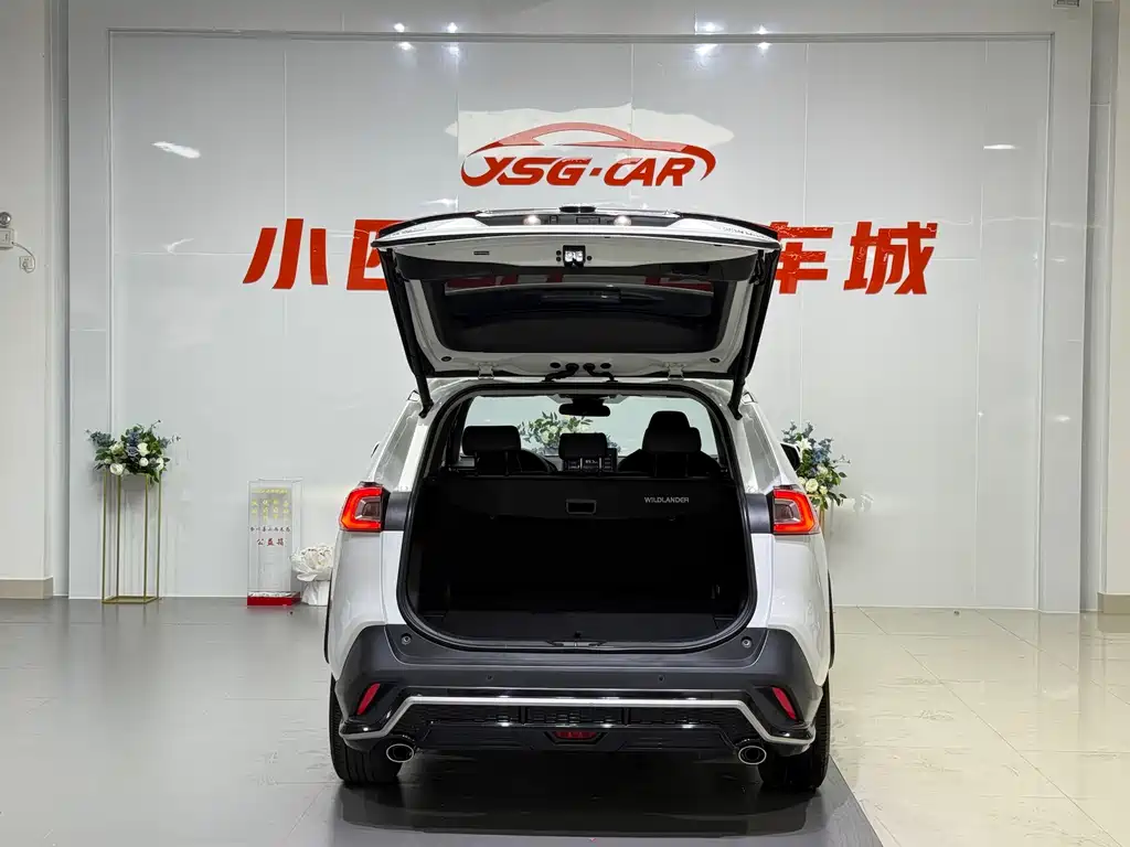Wilanda 2020 2.0L CVT two-wheel drive luxury version купить на сайте DeffCars