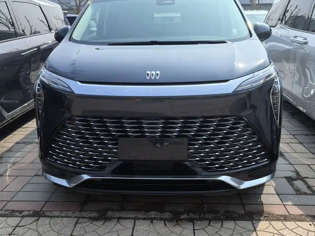 Century 2025 2.0T seven-seat Yuanshi Edition купить на сайте DeffCars
