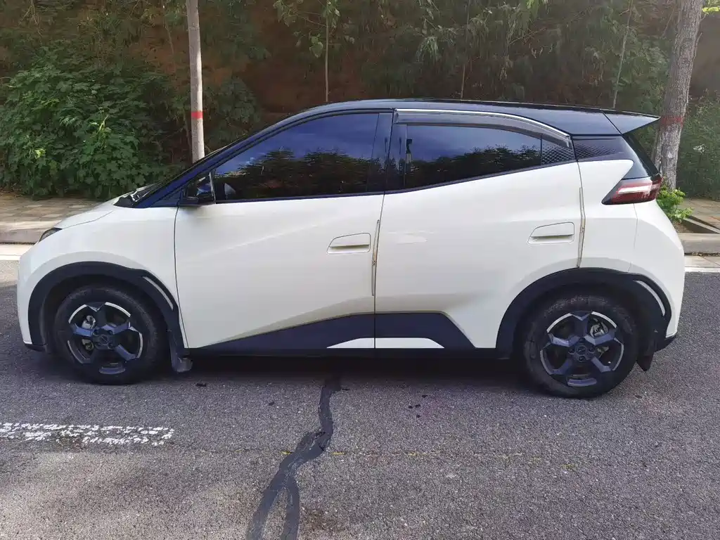 Seagull 2025 Smart Driving Edition 305km Vitality Edition купить на сайте DeffCars