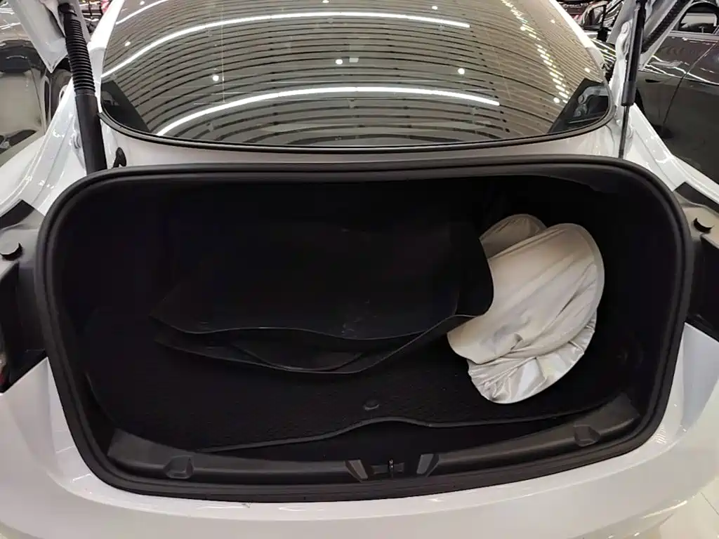 Model 3 2021 Standard Range Rear Drive Upgraded Version купить на сайте DeffCars