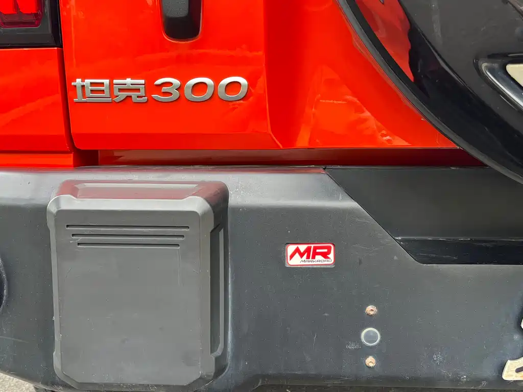 Tank 300 2021 Off-Road Version 2.0T Conqueror купить на сайте DeffCars