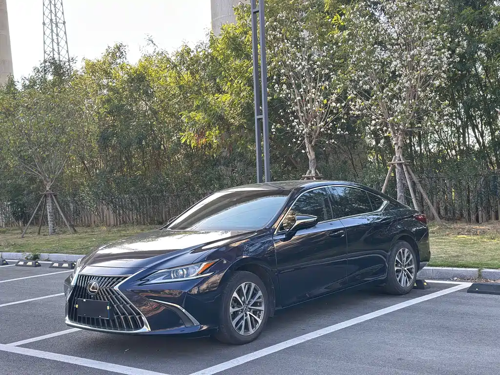 Lexus ES 2020 200 Excellence Edition купить на сайте DeffCars
